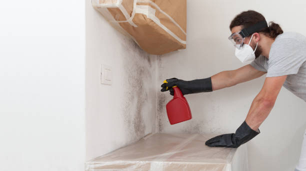 Professional Crawl Space Mold Remediation technician working in Nunica, MI