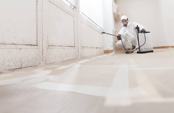 24/7 Emergency Crawl Space Mold Remediation experts in Nunica, MI