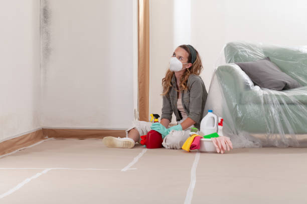 Reliable Crawl Space Mold Remediation contractor in Nunica, MI by Car Mold Remediation